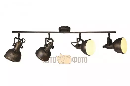 Спот Arte lamp Martin A5215PL-4BR