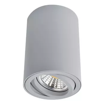 Спот Arte lamp Sentry A1560PL-1GY