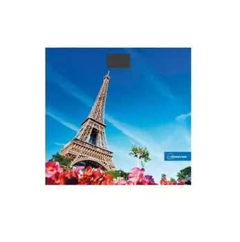 Весы напольные электронные Homestar HS-6001K
