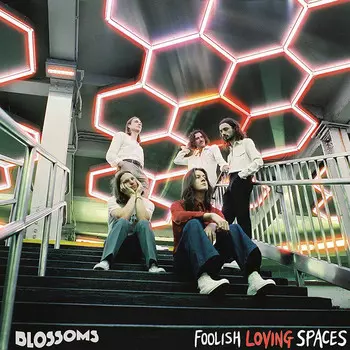 Виниловая пластинка Blossoms, Foolish Loving Spaces (0602508308420)