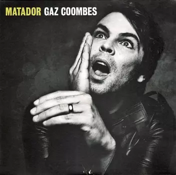 Виниловая пластинка Gaz Coombes, Matador (0602547121158)