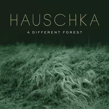 Виниловая пластинка Hauschka, A Different Forest (0190758424217)