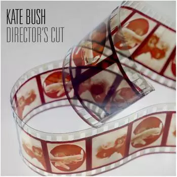 Виниловая пластинка Kate Bush, Director'S Cut (0190295593803)