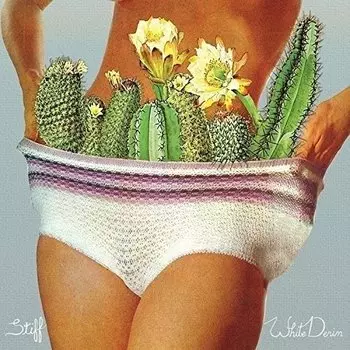 Виниловая пластинка White Denim, Stiff (LP, CD) (0888751928114)