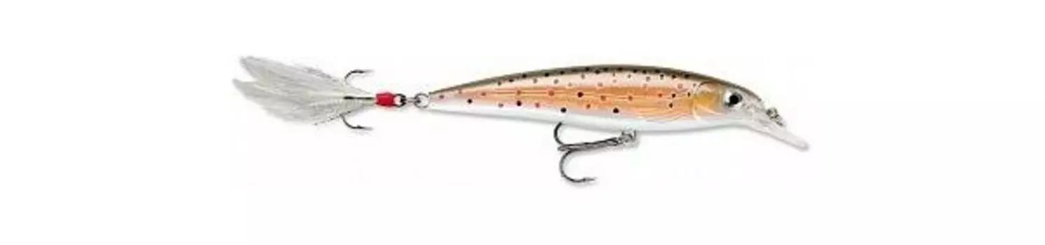 Воблер Rapala X-Rap суспендер 1,2-1,8м, 10см 13гр (XR10-TR)