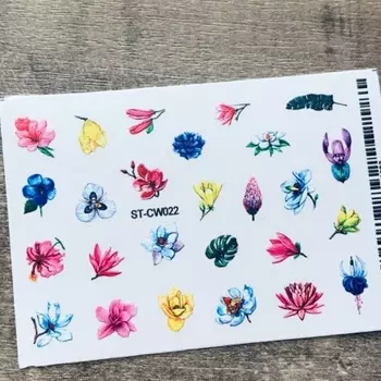 Anna Tkacheva, Стикер ST-CW №022 «Цветы. Цветочки»