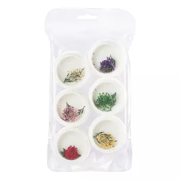 YMMY Professional, Набор сухоцветов, 6 шт