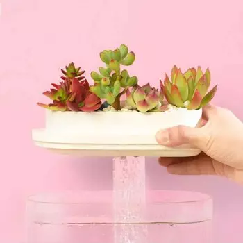 Аква-ферма Xiaomi Descriptive Geometry Mini Lazy Fish Tank HF-JHYG005