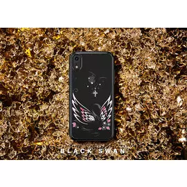 Чехол PQY Swan для iPhone XR Black Frame