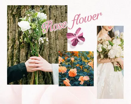 Чехол PQY Rose для iPhone 12/12 Pro Белый Kingxbar IP 12 6.1