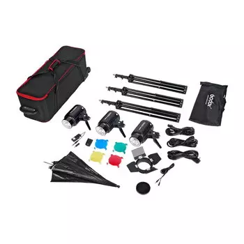 Комплект импульсного света Godox E250-D