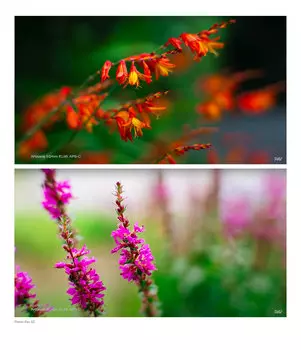 Объектив 7Artisans 50mm F0.95 E-Mount A008B-E