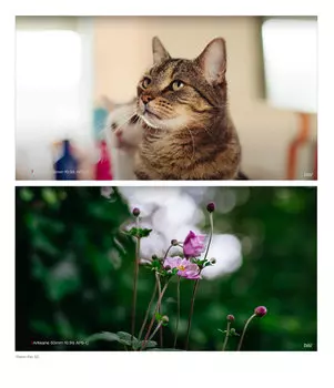 Объектив 7Artisans 50mm F0.95 Z-Mount A008B-Z