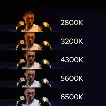 Осветитель Godox LDX100Bi