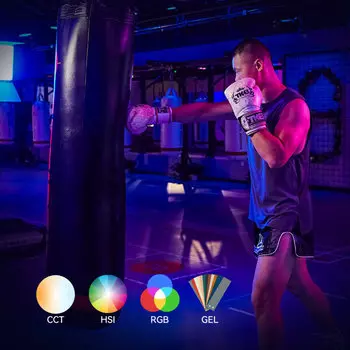 Осветитель Godox LDX100R