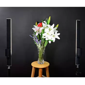 Осветитель YongNuo YN-360S 5500K YN360S dl