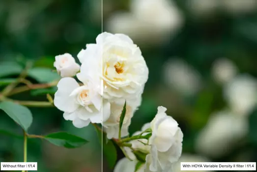 Светофильтр HOYA Variable Density II 77мм 0024066069931