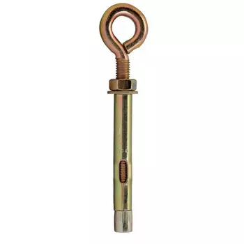 Анкерный болт с кольцом 12х100 25 B1A001210062507