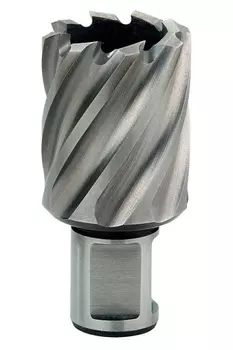 Фреза Metabo HSS 24*30мм (weldon 19) 626512000