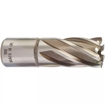 Фреза Milwaukee D19*30мм weldon 19 4932343275