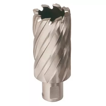 Фреза Milwaukee D41*50мм weldon 19 4932371768