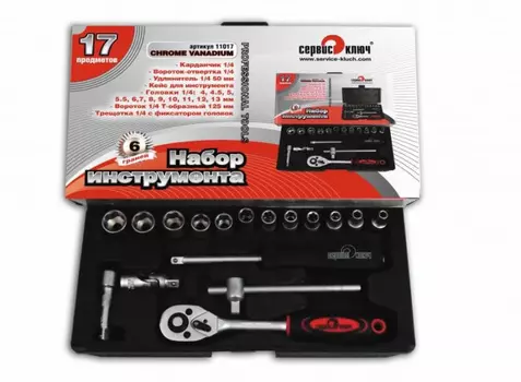 Набор инструмента Сервис Ключ головки 1/4 (4-13мм) 17 предметов 11017