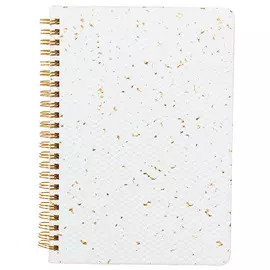 Блокнот для записей, 21х15 см, 80 л, на кольцах, картон, бело-золотистый, Stationery gold