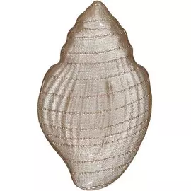 Блюдо, 41 см, стекло, бежевое, Ракушка, Coast