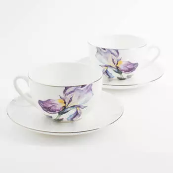 Пара чайная, 2 перс, 4 пр, 300 мл, фарфор F, с серебристым кантом, Ирисы, Antarctica Flowers