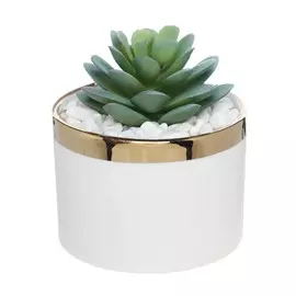 Растение искусственное, 10 см, в горшке, пластик/керамика, Суккулент