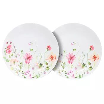 Тарелка закусочная, 23 см, 2 шт, фарфор N, Травы, Grass