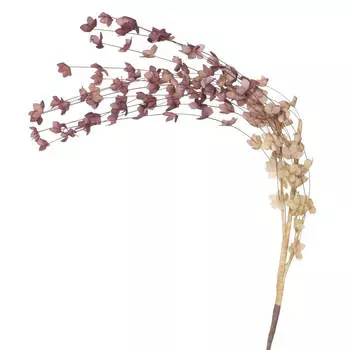 Ветка декоративная, 1,2 м, ЭВА, Ветви, Foggy morning