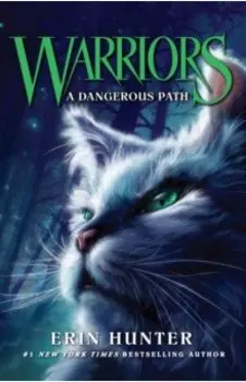 A Dangerous Path
