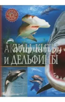 Акулы, киты и дельфины