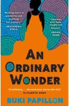 An Ordinary Wonder