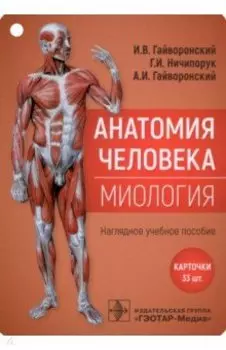 Анатомия человека. Миология. Комплект карточек. Наглядное учебное пособие