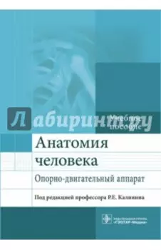 Анатомия человека. Опорно-двигательный аппарат. Учебное пособие