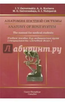 Анатомия костной системы. Учебное пособие на английском языке