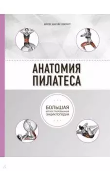 Анатомия пилатеса