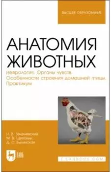 Анатомия животных. Неврология. Особенности строения домашней птицы. Практикум