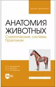 Анатомия животных. Соматические системы. Практикум. Учебное пособие