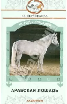 Арабская лошадь