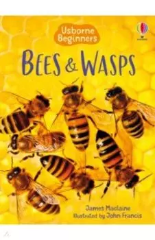 Bees and Wasps
