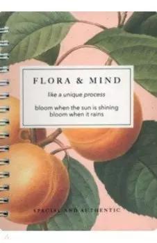 Блокнот Flora, Персики, 80 листов, клетка