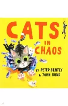 Cats in Chaos