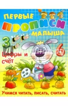 Цифры и счет