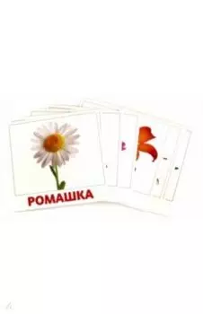 Цветы