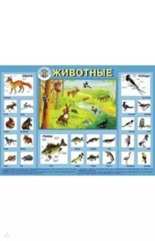 Детский плакат. Животные