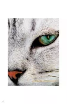 Дневник школьный Котик