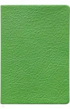 Ежедневник недатированный, 96 листов, А5, Turtle, зеленый